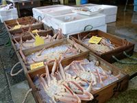 駅前通り