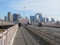 十三大橋