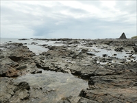 串本海中公園