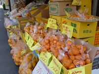 果実店の店先